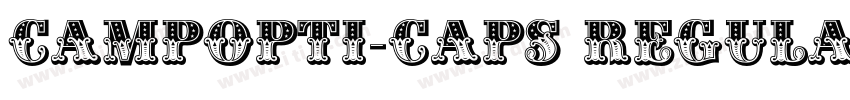 CampOpti-Caps Regula字体转换